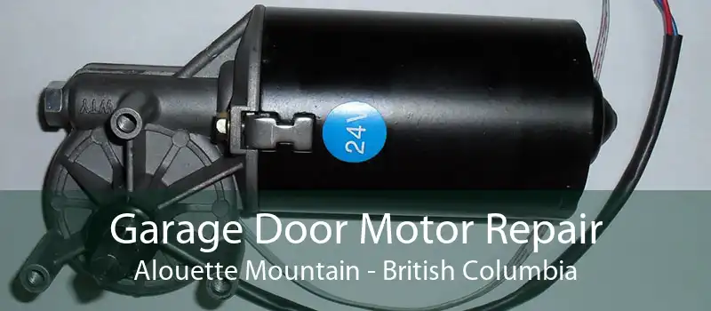 Garage Door Motor Repair Alouette Mountain - British Columbia