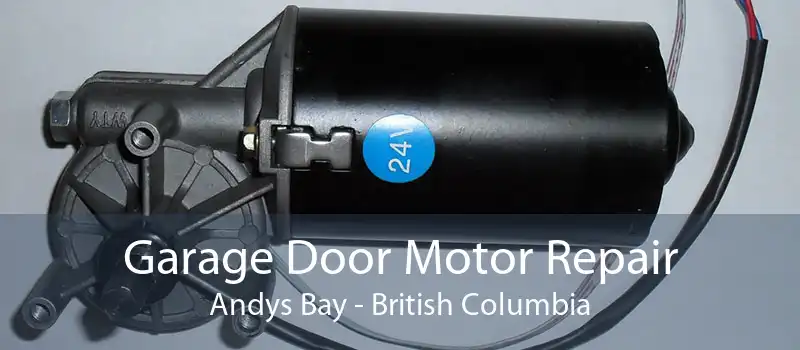 Garage Door Motor Repair Andys Bay - British Columbia