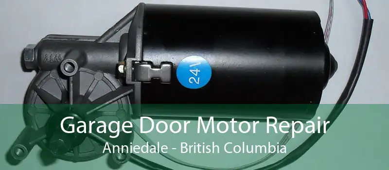 Garage Door Motor Repair Anniedale - British Columbia