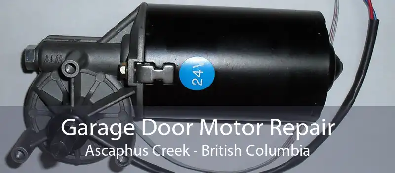 Garage Door Motor Repair Ascaphus Creek - British Columbia