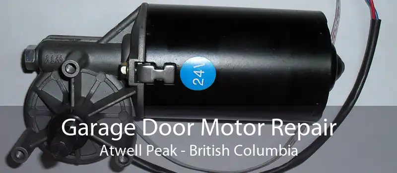 Garage Door Motor Repair Atwell Peak - British Columbia