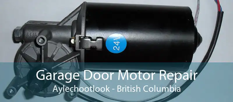 Garage Door Motor Repair Aylechootlook - British Columbia