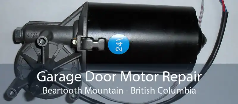 Garage Door Motor Repair Beartooth Mountain - British Columbia