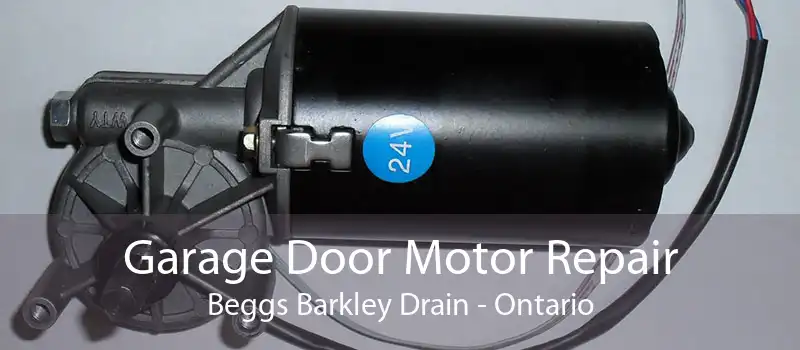 Garage Door Motor Repair Beggs Barkley Drain - Ontario