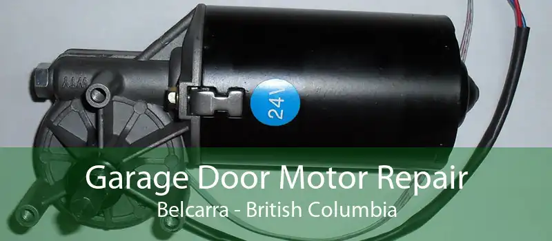 Garage Door Motor Repair Belcarra - British Columbia