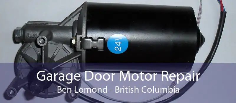 Garage Door Motor Repair Ben Lomond - British Columbia