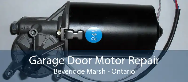 Garage Door Motor Repair Beveridge Marsh - Ontario