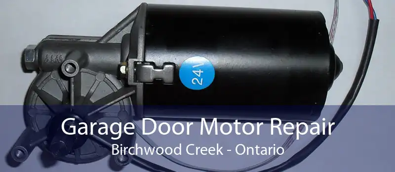 Garage Door Motor Repair Birchwood Creek - Ontario