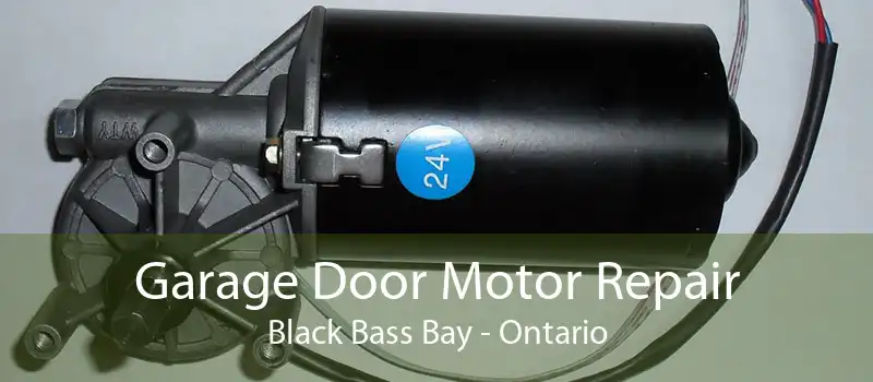 Garage Door Motor Repair Black Bass Bay - Ontario