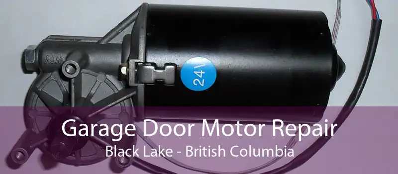 Garage Door Motor Repair Black Lake - British Columbia