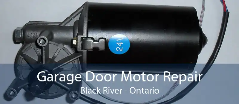 Garage Door Motor Repair Black River - Ontario