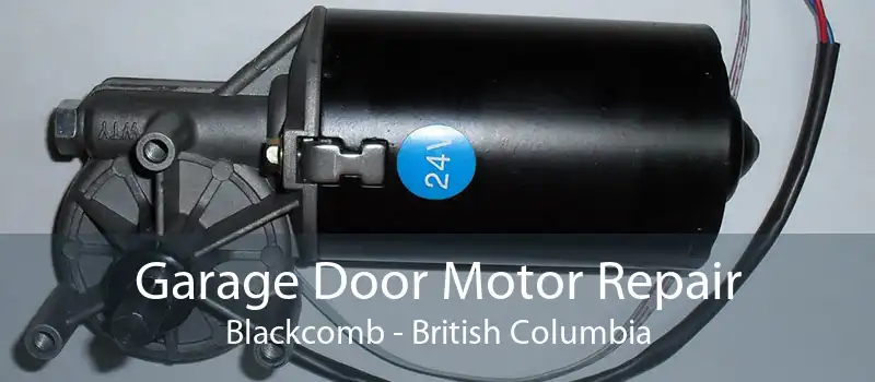 Garage Door Motor Repair Blackcomb - British Columbia