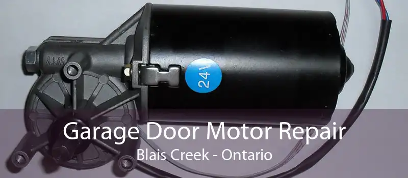 Garage Door Motor Repair Blais Creek - Ontario