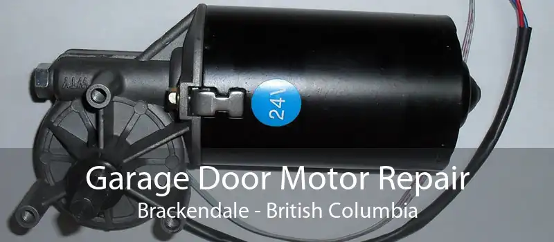 Garage Door Motor Repair Brackendale - British Columbia