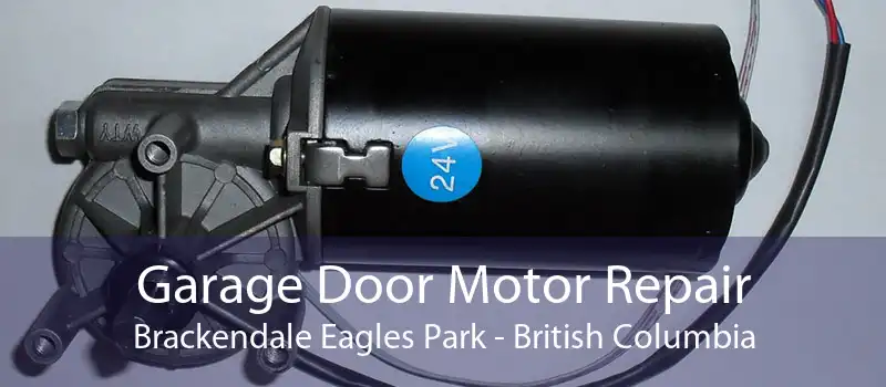 Garage Door Motor Repair Brackendale Eagles Park - British Columbia