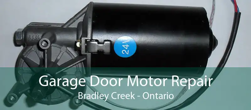 Garage Door Motor Repair Bradley Creek - Ontario