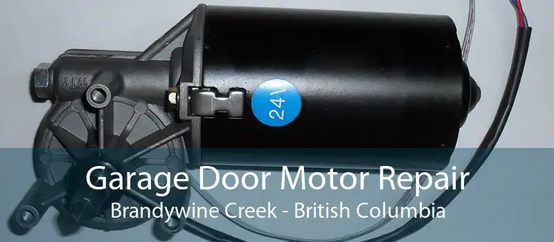 Garage Door Motor Repair Brandywine Creek - British Columbia
