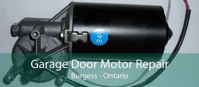 Garage Door Motor Repair Burgess - Ontario