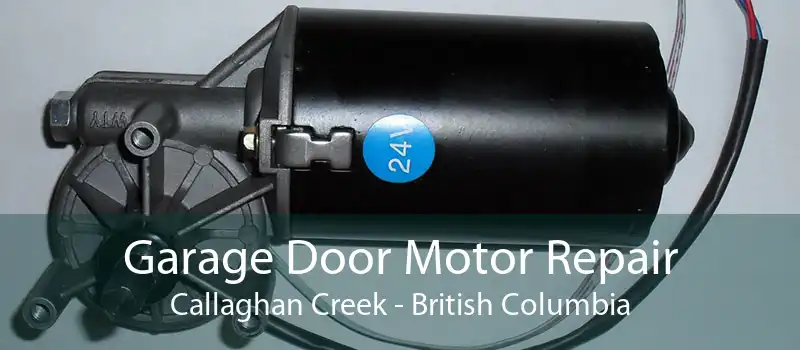 Garage Door Motor Repair Callaghan Creek - British Columbia