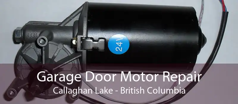 Garage Door Motor Repair Callaghan Lake - British Columbia