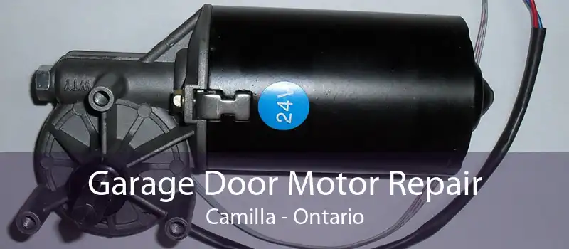 Garage Door Motor Repair Camilla - Ontario