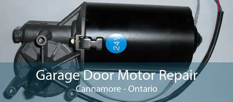 Garage Door Motor Repair Cannamore - Ontario