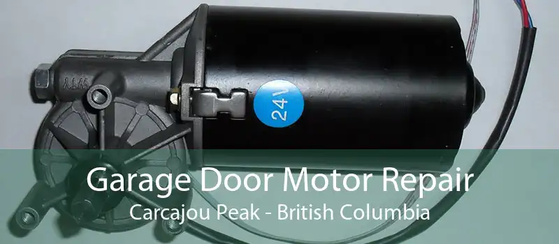 Garage Door Motor Repair Carcajou Peak - British Columbia