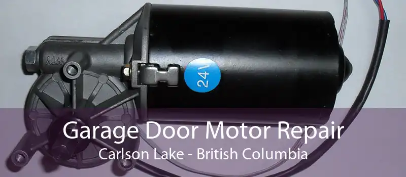 Garage Door Motor Repair Carlson Lake - British Columbia