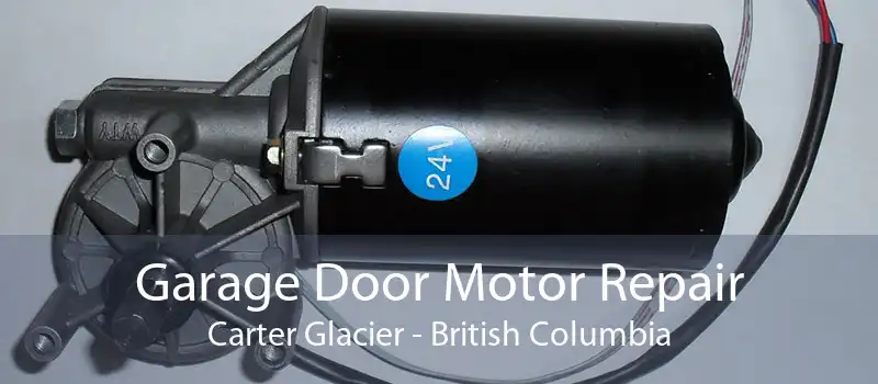 Garage Door Motor Repair Carter Glacier - British Columbia