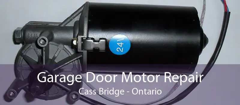 Garage Door Motor Repair Cass Bridge - Ontario