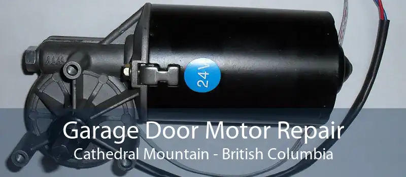 Garage Door Motor Repair Cathedral Mountain - British Columbia