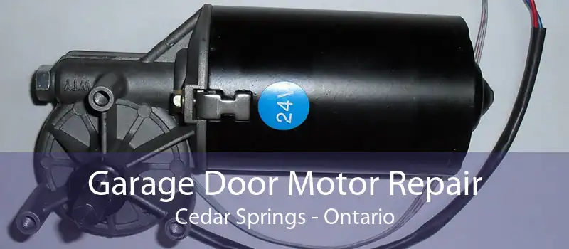 Garage Door Motor Repair Cedar Springs - Ontario