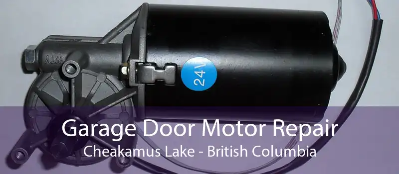 Garage Door Motor Repair Cheakamus Lake - British Columbia