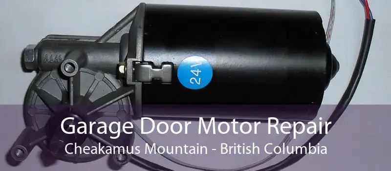 Garage Door Motor Repair Cheakamus Mountain - British Columbia