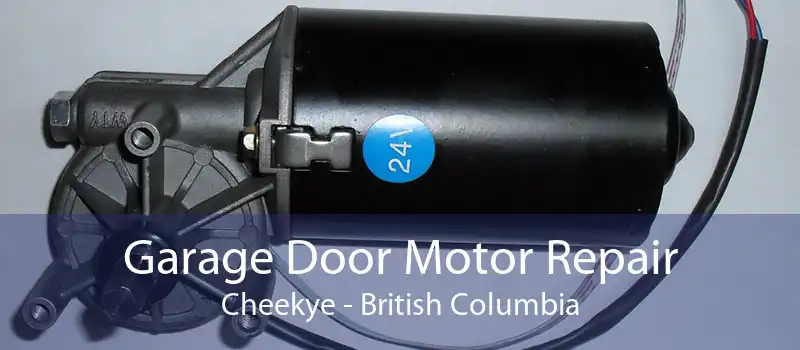 Garage Door Motor Repair Cheekye - British Columbia