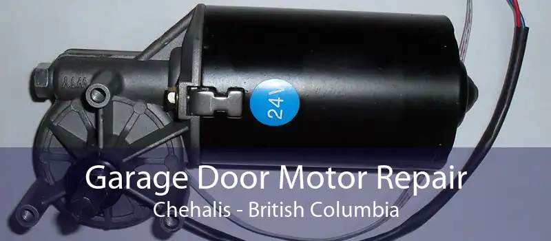 Garage Door Motor Repair Chehalis - British Columbia