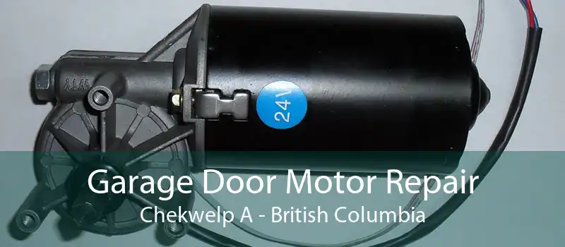 Garage Door Motor Repair Chekwelp A - British Columbia