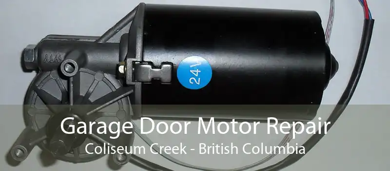 Garage Door Motor Repair Coliseum Creek - British Columbia