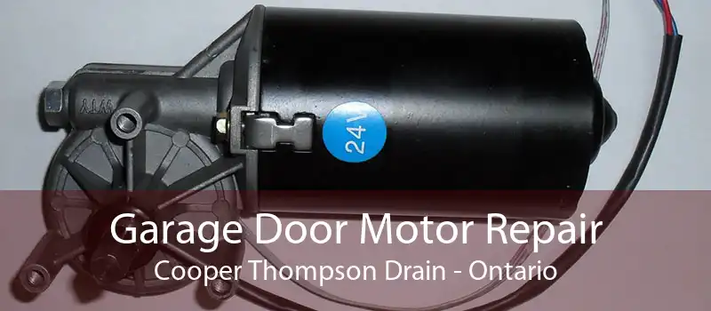 Garage Door Motor Repair Cooper Thompson Drain - Ontario