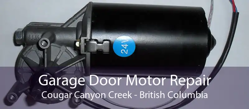 Garage Door Motor Repair Cougar Canyon Creek - British Columbia