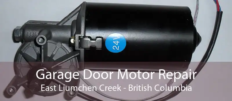 Garage Door Motor Repair East Liumchen Creek - British Columbia
