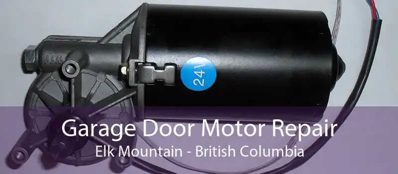 Garage Door Motor Repair Elk Mountain - British Columbia
