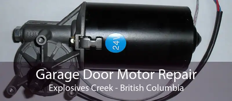 Garage Door Motor Repair Explosives Creek - British Columbia