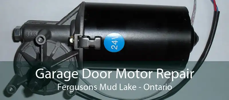 Garage Door Motor Repair Fergusons Mud Lake - Ontario