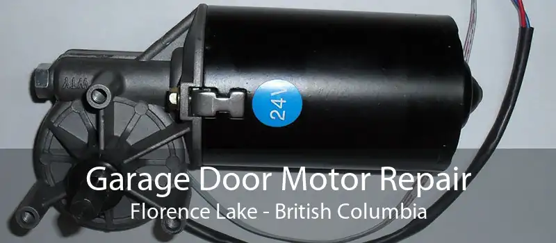 Garage Door Motor Repair Florence Lake - British Columbia