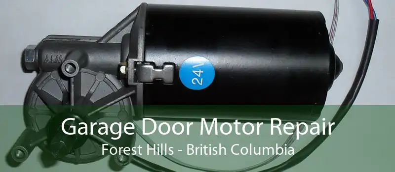 Garage Door Motor Repair Forest Hills - British Columbia