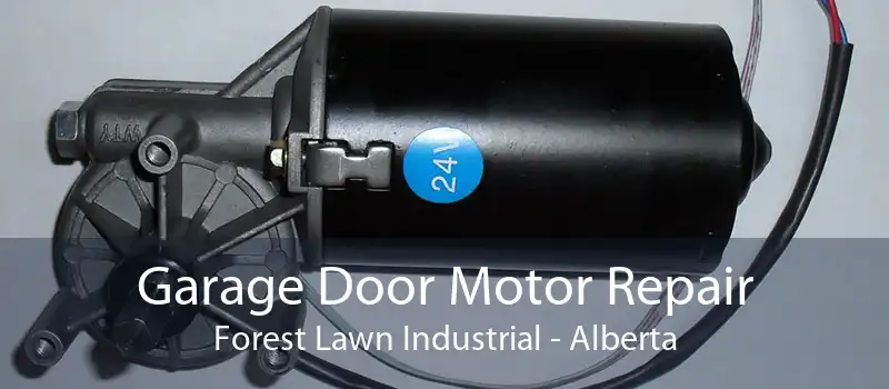 Garage Door Motor Repair Forest Lawn Industrial - Alberta