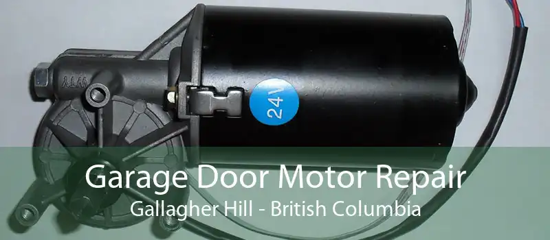 Garage Door Motor Repair Gallagher Hill - British Columbia