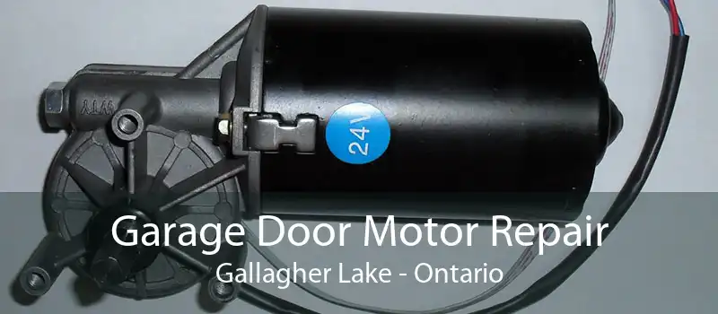 Garage Door Motor Repair Gallagher Lake - Ontario