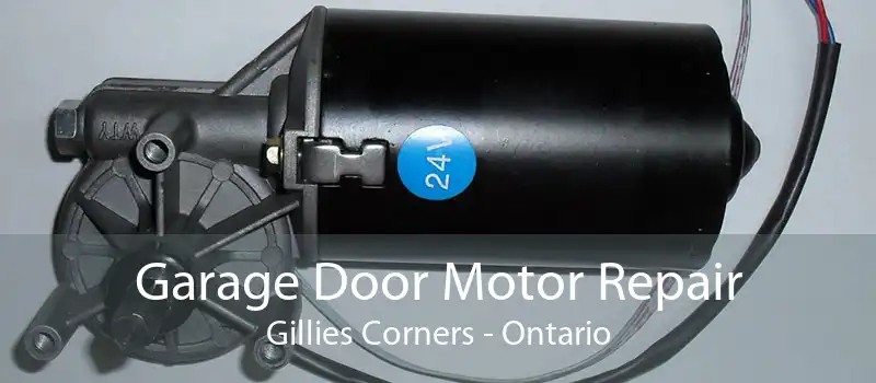 Garage Door Motor Repair Gillies Corners - Ontario